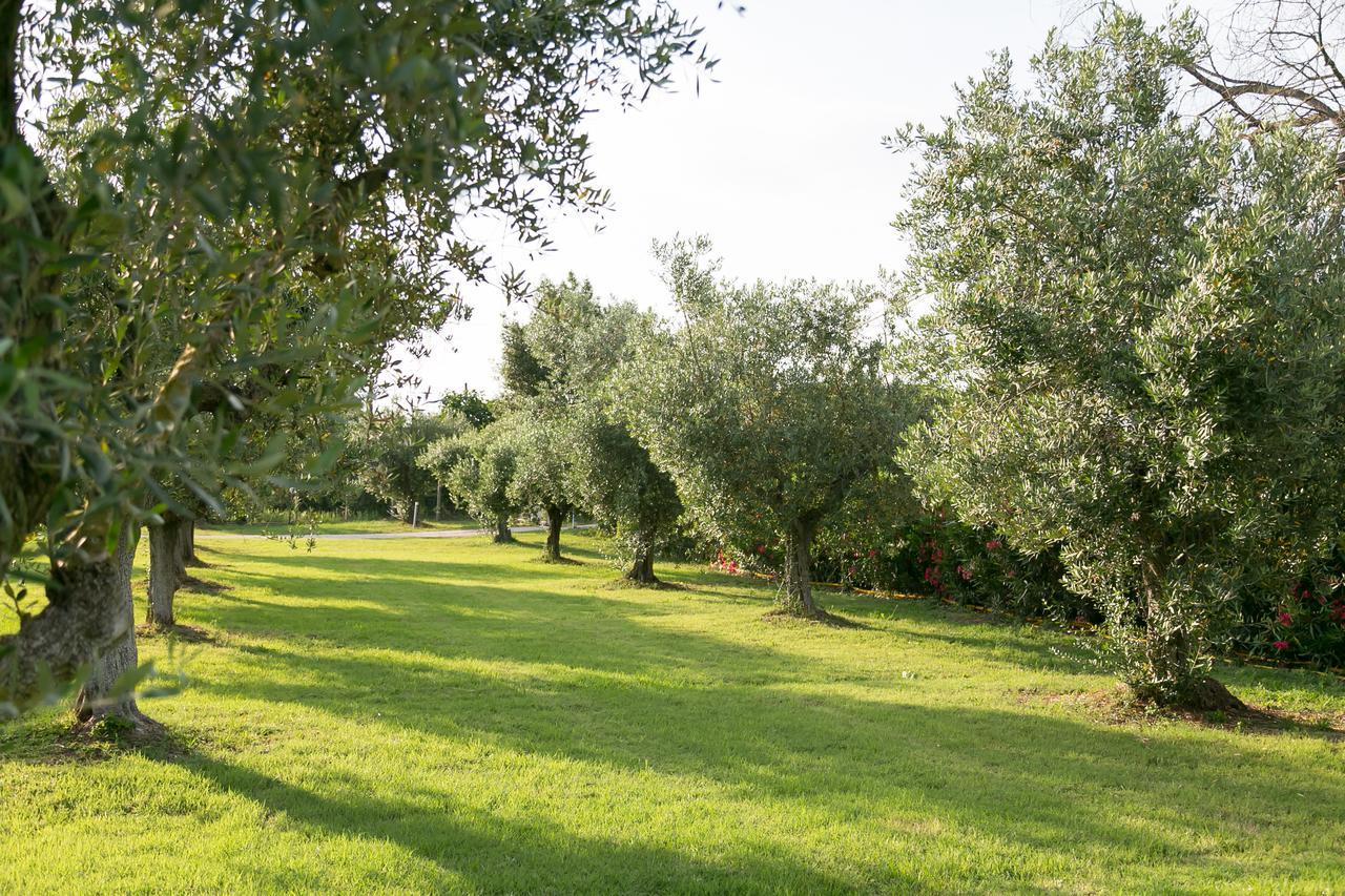 Belvedere Monte Leano Hostal Terracina Exterior foto