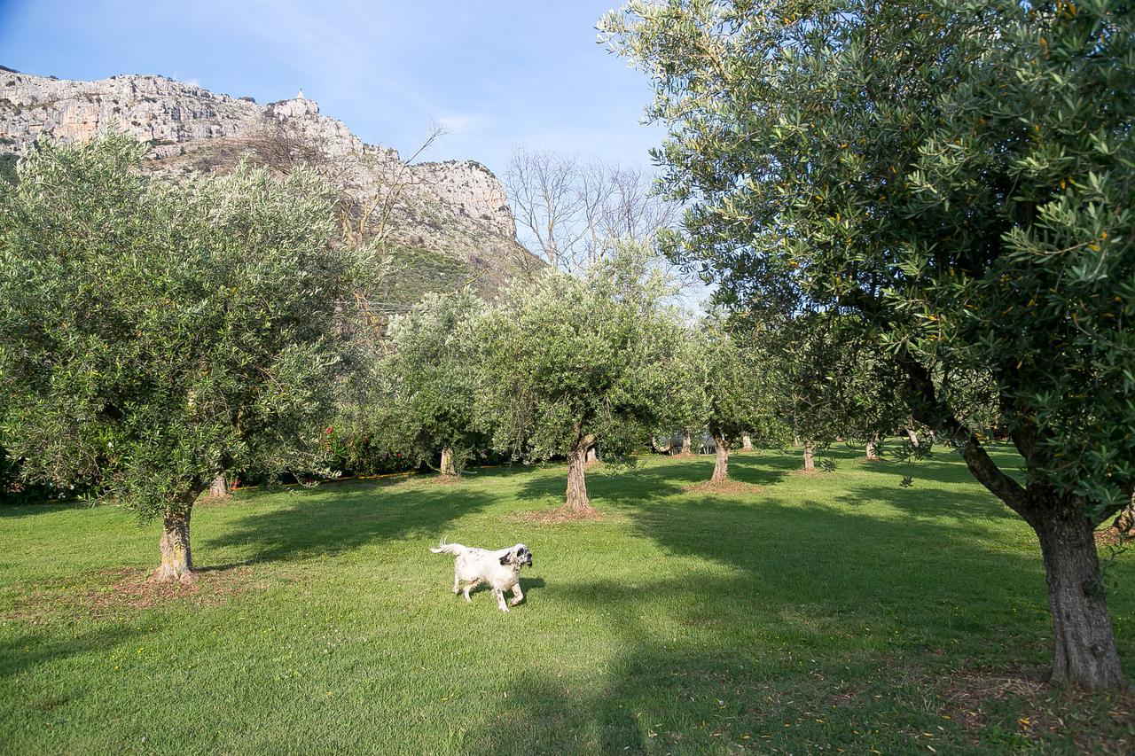 Belvedere Monte Leano Hostal Terracina Exterior foto